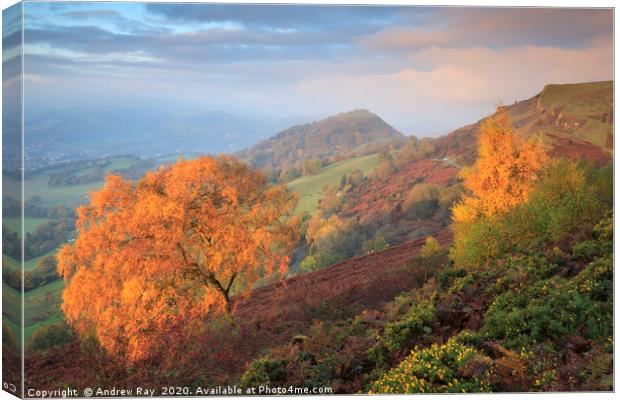 Castell Dinas Brân from the Panorama Walk Canvas Print by Andrew Ray