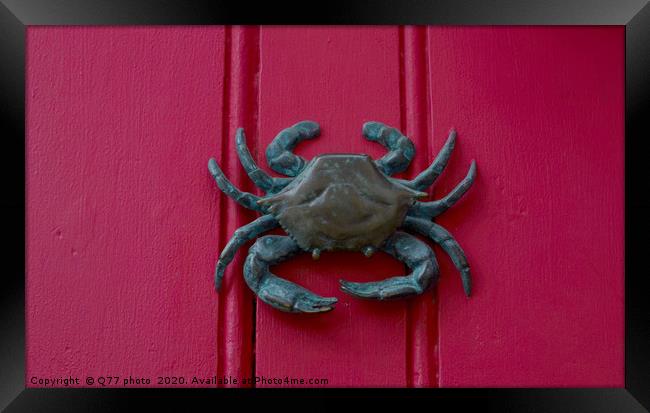 Brass crab knocker, knocker on red wooden door, de Framed Print by Q77 photo