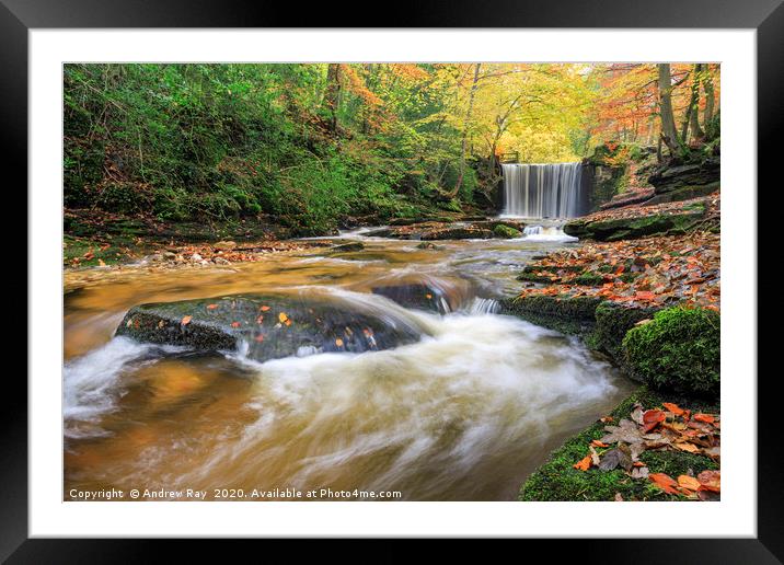 Autumn colour at Nant Mill Waterfall Framed Mounted Print by Andrew Ray