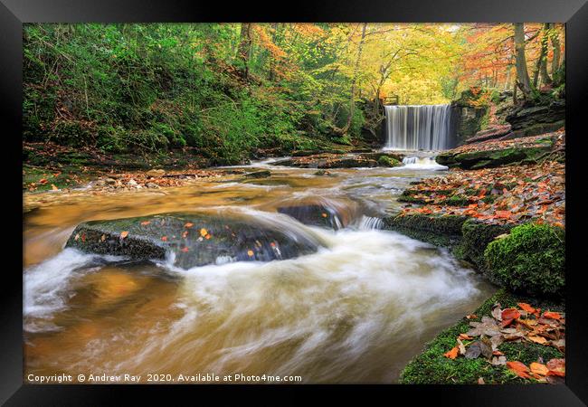 Autumn colour at Nant Mill Waterfall Framed Print by Andrew Ray