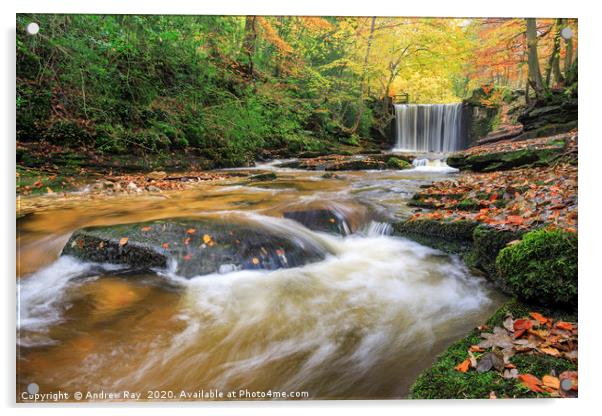 Autumn colour at Nant Mill Waterfall Acrylic by Andrew Ray