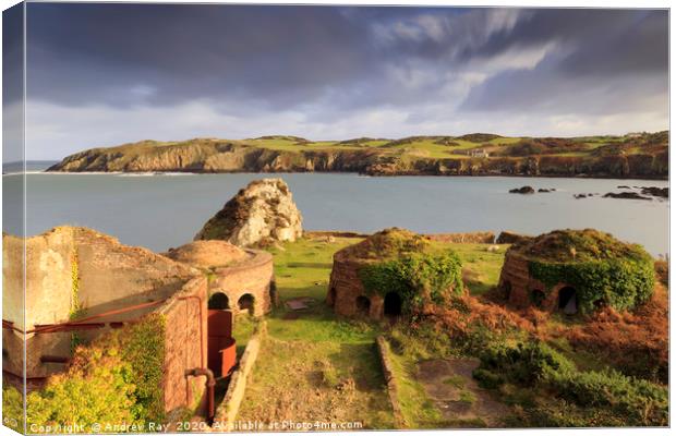 Porth Wen Brickworks Canvas Print by Andrew Ray