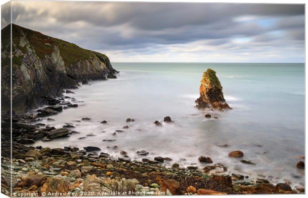 Sea stack at Porth Saint Canvas Print by Andrew Ray