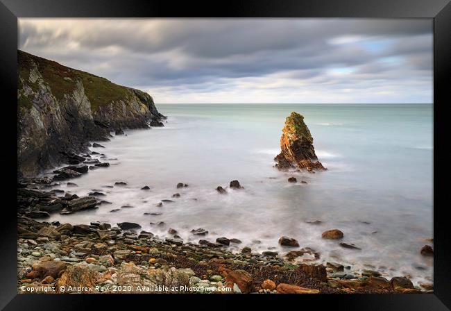 Sea stack at Porth Saint Framed Print by Andrew Ray