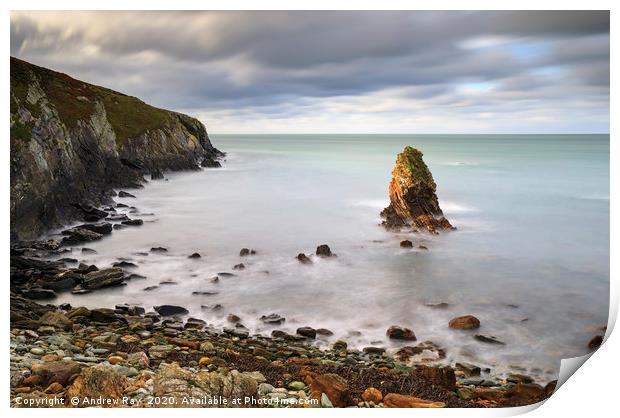 Sea stack at Porth Saint Print by Andrew Ray