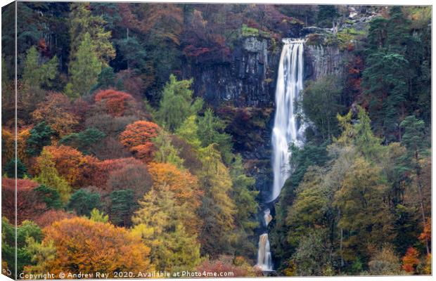 Pistyll Rhaeadr Waterfall Canvas Print by Andrew Ray