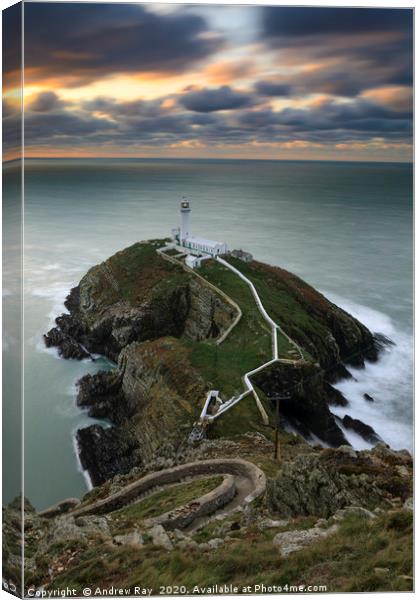 South Stack at sunset Canvas Print by Andrew Ray