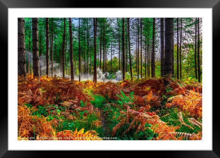 The turn of Autumn Framed Mounted Print by Niels Richards