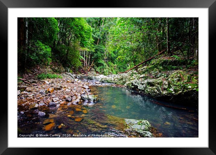 Currumbin Valley, Queensland Framed Mounted Print by Shaun Carling