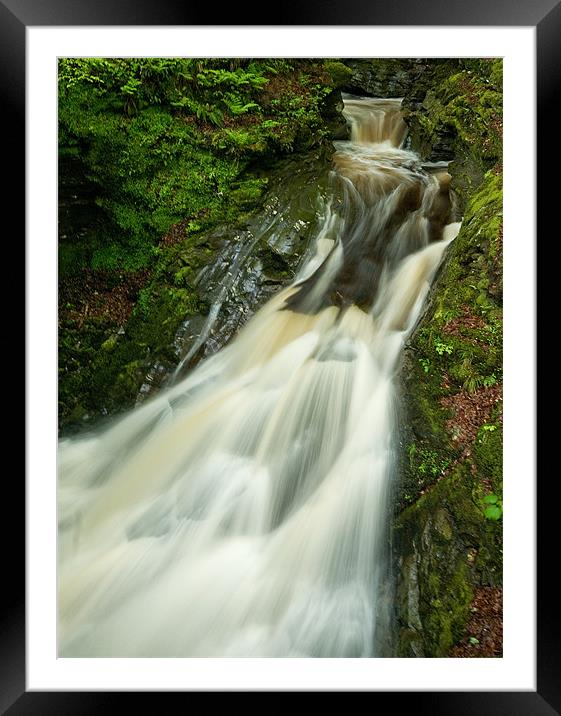 The Birks Framed Mounted Print by Mark Robson