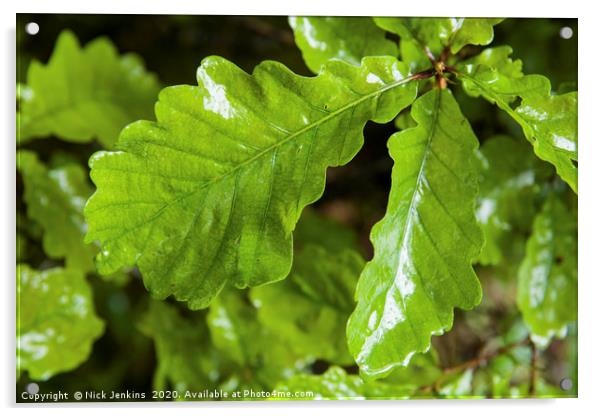 Oak Leaves in a shower of rain in a woodland  Acrylic by Nick Jenkins