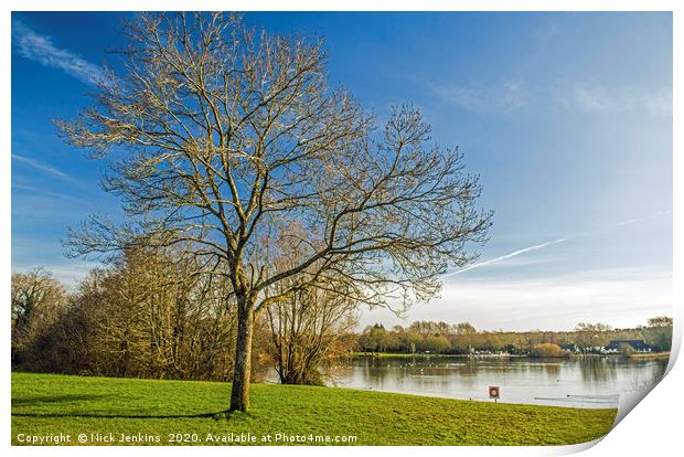 Cosmeston Lakes Country Park Penarth south Wales Print by Nick Jenkins