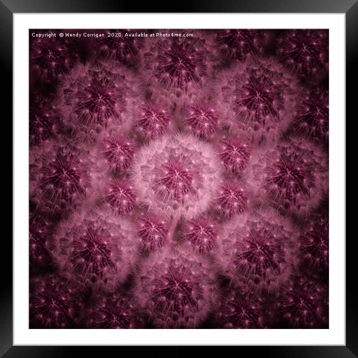 Dandelion Fireworks in Pink Framed Mounted Print by Wendy Corrigan
