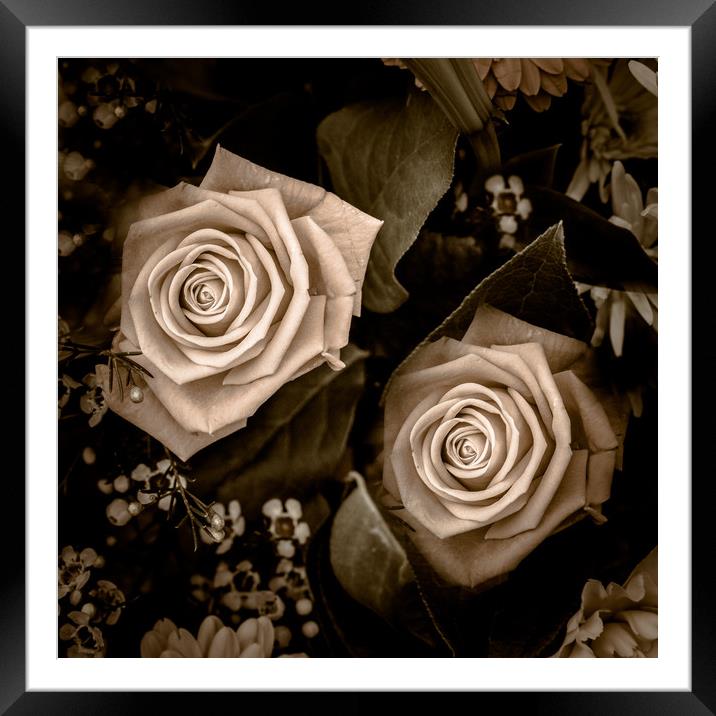 Retro Roses Framed Mounted Print by Wendy Corrigan
