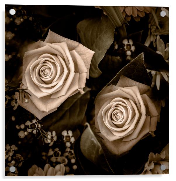 Retro Roses Acrylic by Wendy Corrigan