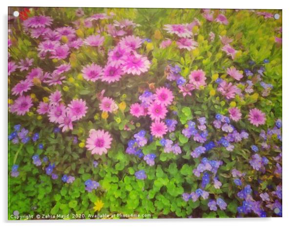 Colours in my garden on a sunny covid day Acrylic by Zahra Majid