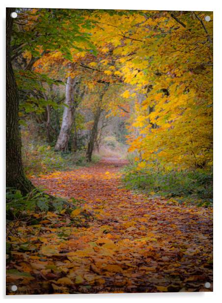 A Walk Through The Colours Of Autumn Acrylic by Inca Kala