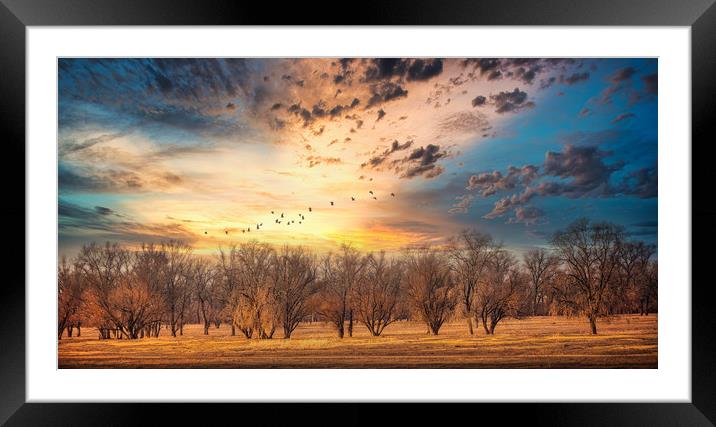 On the other side Framed Mounted Print by Svetlana Sewell