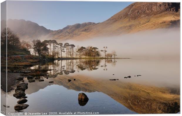 In Nature's Misty Vale Canvas Print by Jeanette Lea