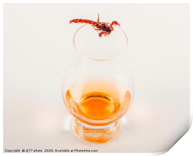 single malt tasting glass with scorpion, single ma Print by Q77 photo