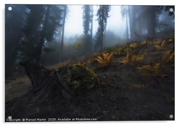 Ferns in the Mist Acrylic by Manuel Martin