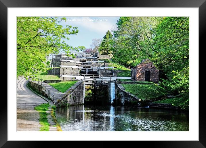 Bingley Five Rise Locks Yorkshire Framed Mounted Print by Diana Mower