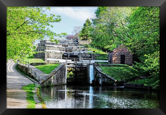 Bingley Five Rise Locks Yorkshire Framed Print by Diana Mower