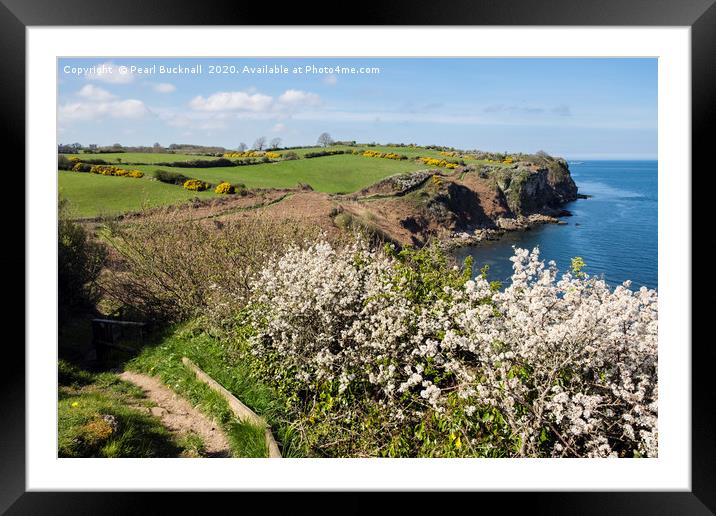 Anglesey Coast Path in Spring Framed Mounted Print by Pearl Bucknall