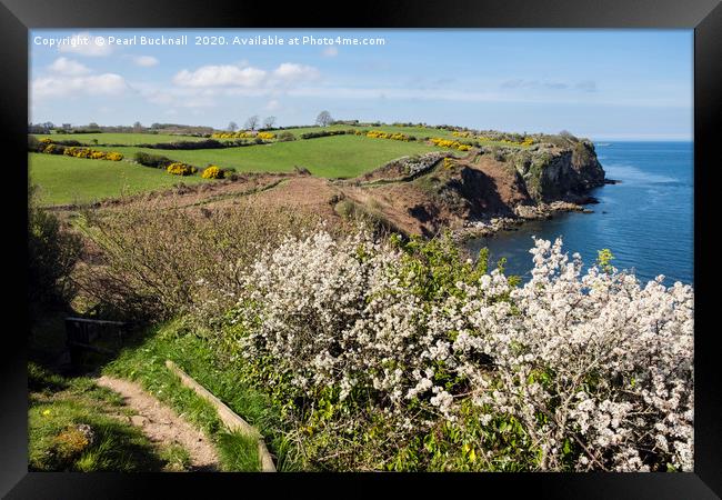 Anglesey Coast Path in Spring Framed Print by Pearl Bucknall