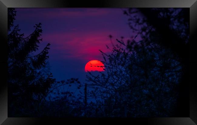 A big red setting sun Framed Print by Leighton Collins