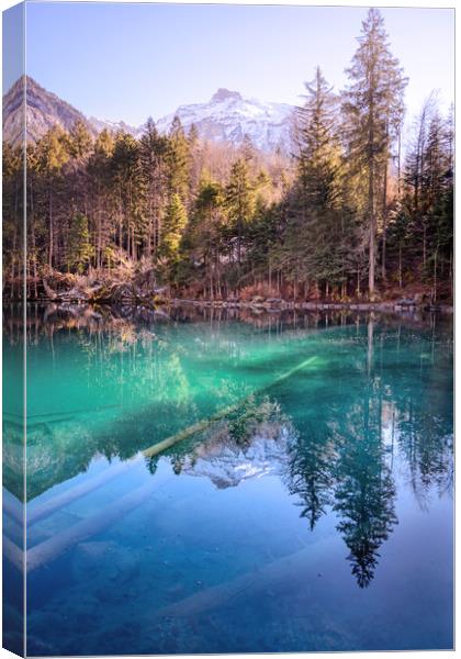 Lake Blausee Canvas Print by Svetlana Sewell