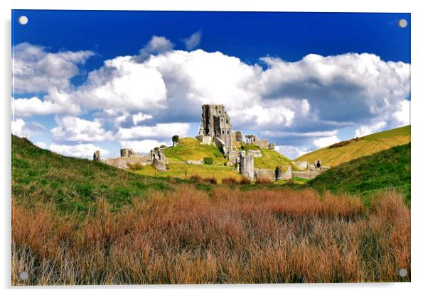 Corfe Castle Dorset At Spring Acrylic by austin APPLEBY