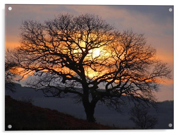 Brecon Sunset Acrylic by Ellen Morris