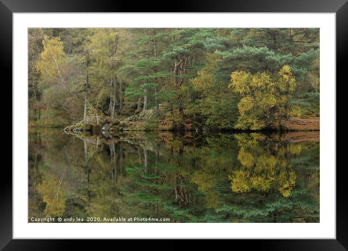 Aspects Of Autumn Framed Mounted Print by andy lea
