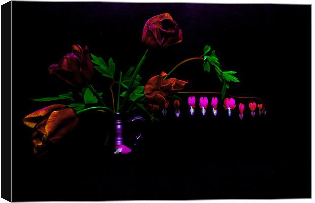 Flowers on Black Background Canvas Print by Dawn O'Connor