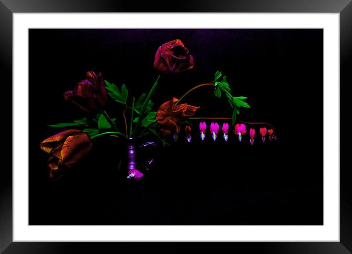 Flowers on Black Background Framed Mounted Print by Dawn O'Connor