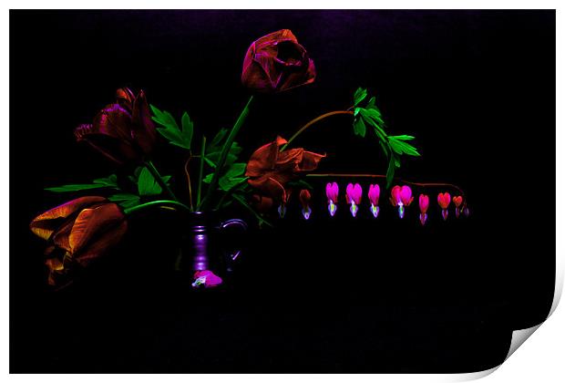 Flowers on Black Background Print by Dawn O'Connor