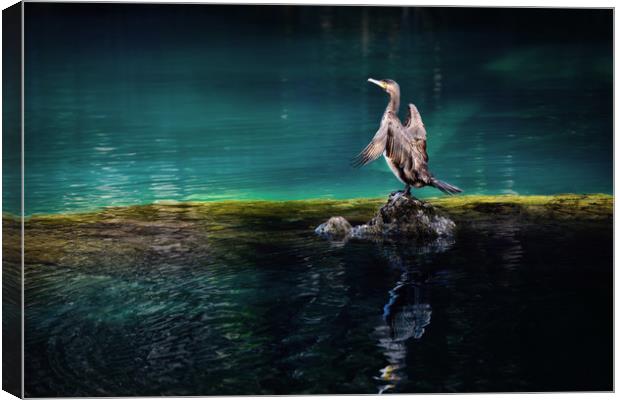 Bird on a lake Canvas Print by Svetlana Sewell