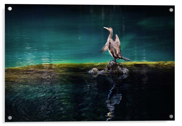 Bird on a lake Acrylic by Svetlana Sewell