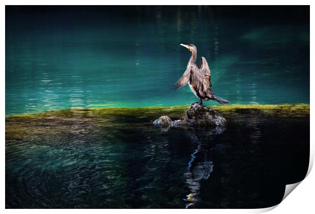 Bird on a lake Print by Svetlana Sewell