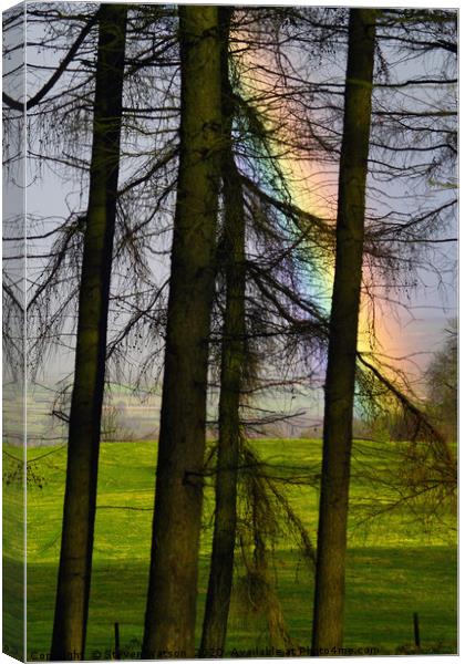 Refraction and Larches Canvas Print by Steven Watson