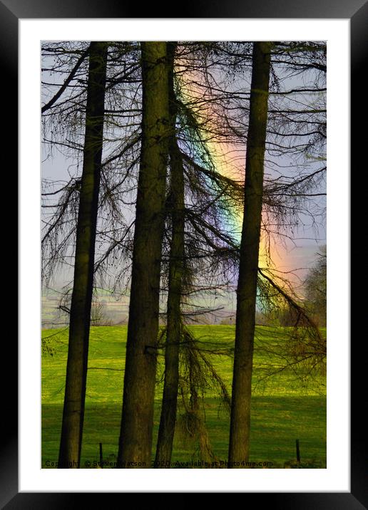 Refraction and Larches Framed Mounted Print by Steven Watson