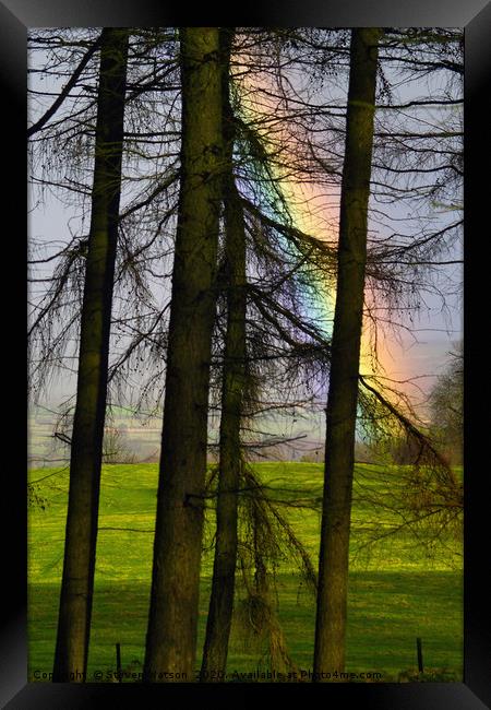 Refraction and Larches Framed Print by Steven Watson