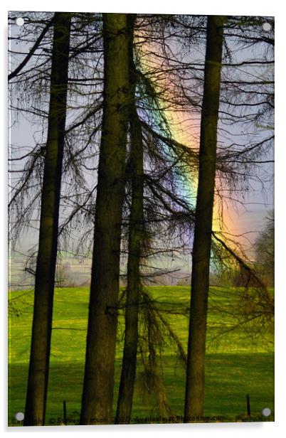Refraction and Larches Acrylic by Steven Watson