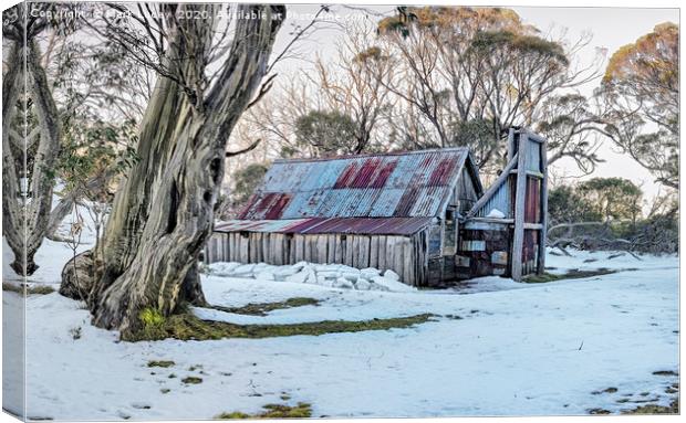 Wallaces Hut - Winter Canvas Print by Mark Lucey
