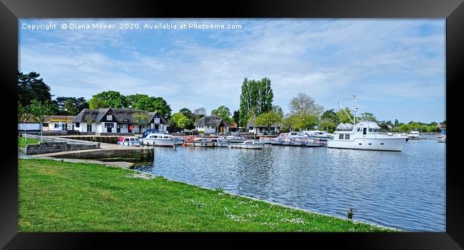 Oulton Broad Framed Print by Diana Mower