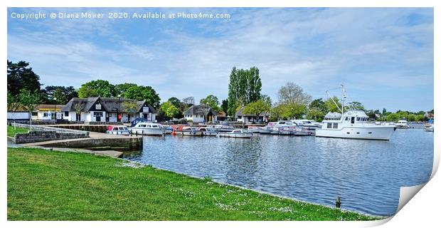 Oulton Broad Print by Diana Mower