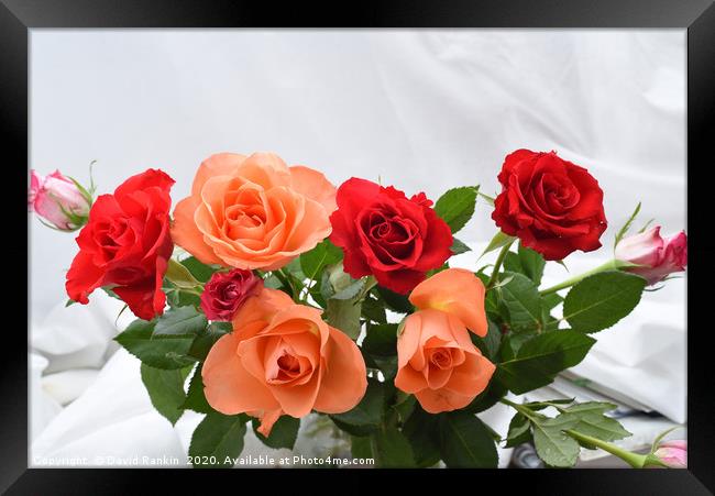 three red roses and three orange roses bouquet Framed Print by Photogold Prints