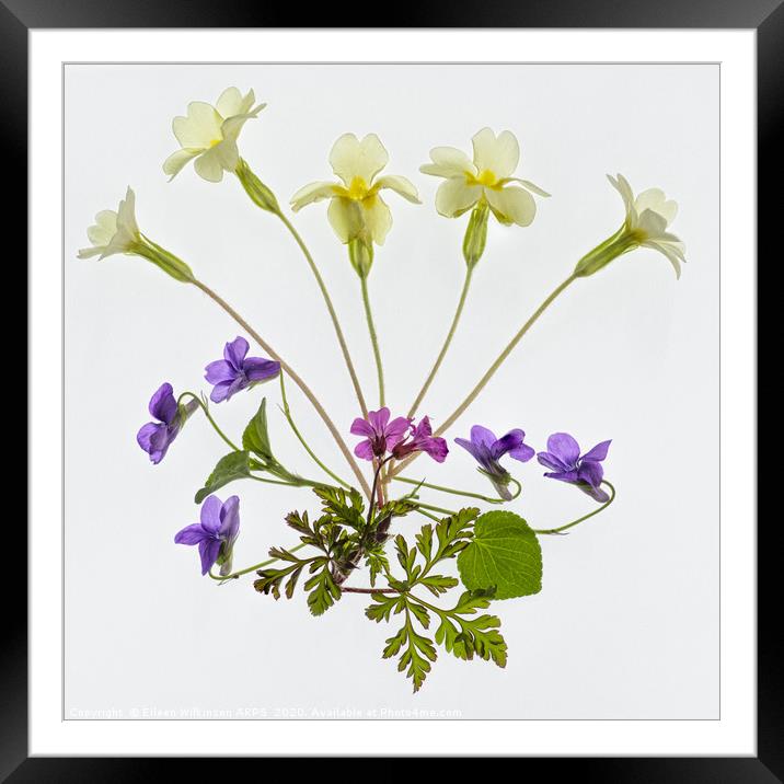 Wild Spring Flowers Framed Mounted Print by Eileen Wilkinson ARPS EFIAP
