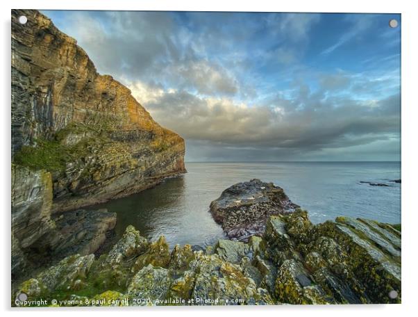 Whaligoe Harbour, North Coast 500, Scotland Acrylic by yvonne & paul carroll